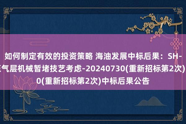 如何制定有效的投资策略 海油发展中标后果：SH-复杂井筒高压气层机械暂堵技艺考虑-20240730(重新招标第2次)中标后果公告