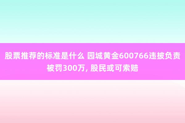 股票推荐的标准是什么 园城黄金600766违披负责被罚300万, 股民或可索赔