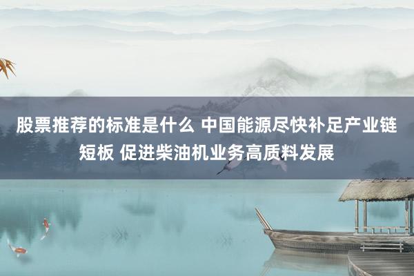 股票推荐的标准是什么 中国能源尽快补足产业链短板 促进柴油机业务高质料发展