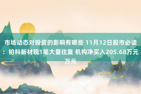 市场动态对投资的影响有哪些 11月12日股市必读：铂科新材现1笔大量往复 机构净买入205.68万元