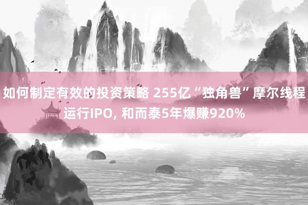 如何制定有效的投资策略 255亿“独角兽”摩尔线程运行IPO, 和而泰5年爆赚920%