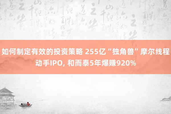 如何制定有效的投资策略 255亿“独角兽”摩尔线程动手IPO, 和而泰5年爆赚920%