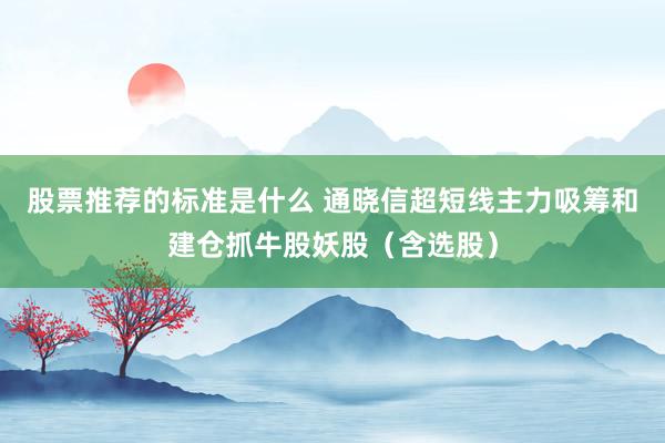 股票推荐的标准是什么 通晓信超短线主力吸筹和建仓抓牛股妖股（含选股）