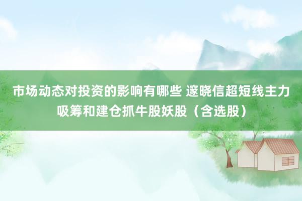 市场动态对投资的影响有哪些 邃晓信超短线主力吸筹和建仓抓牛股妖股（含选股）