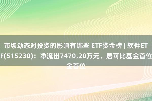 市场动态对投资的影响有哪些 ETF资金榜 | 软件ETF(515230)：净流出7470.20万元，居可比基金首位