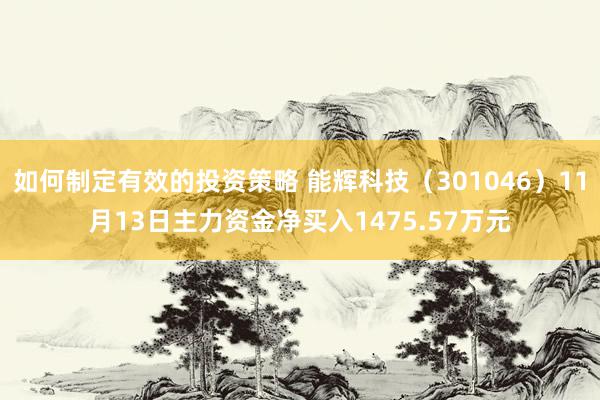 如何制定有效的投资策略 能辉科技（301046）11月13日主力资金净买入1475.57万元