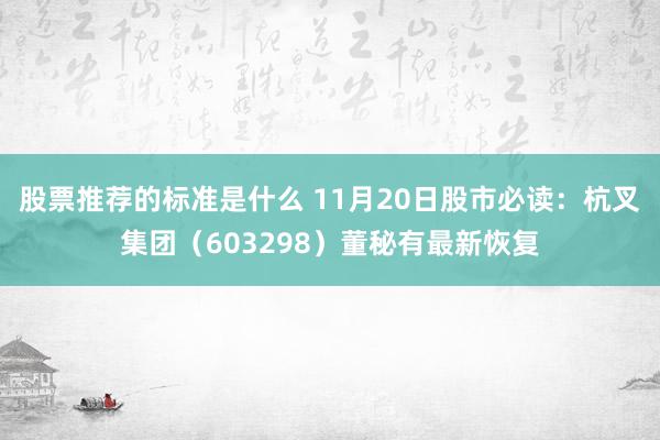 股票推荐的标准是什么 11月20日股市必读：杭叉集团（603298）董秘有最新恢复