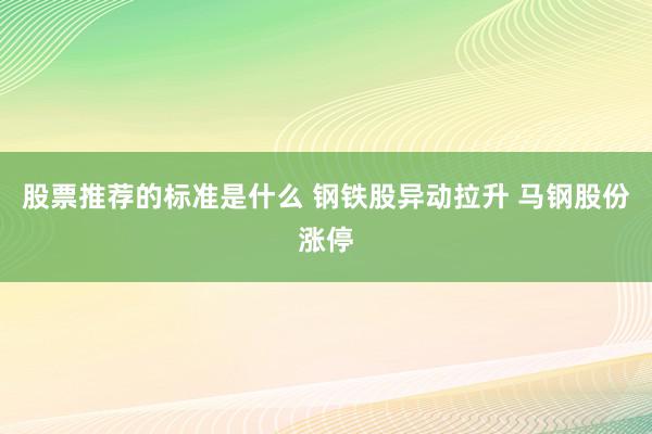 股票推荐的标准是什么 钢铁股异动拉升 马钢股份涨停