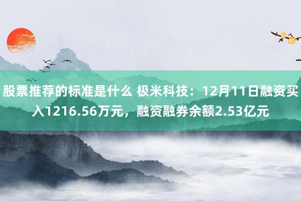 股票推荐的标准是什么 极米科技：12月11日融资买入1216.56万元，融资融券余额2.53亿元