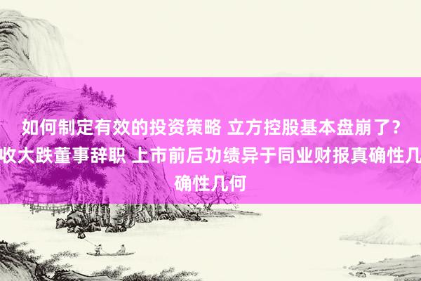 如何制定有效的投资策略 立方控股基本盘崩了？营收大跌董事辞职 上市前后功绩异于同业财报真确性几何