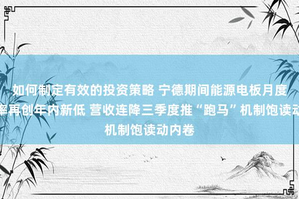 如何制定有效的投资策略 宁德期间能源电板月度市占率再创年内新低 营收连降三季度推“跑马”机制饱读动内卷