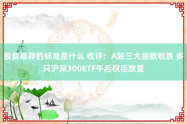 股票推荐的标准是什么 收评：A股三大指数收跌 多只沪深300ETF午后权臣放量