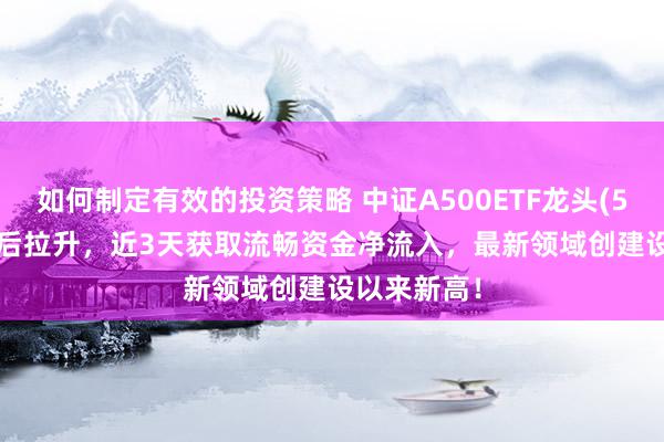 如何制定有效的投资策略 中证A500ETF龙头(563800)午后拉升，近3天获取流畅资金净流入，最新领域创建设以来新高！