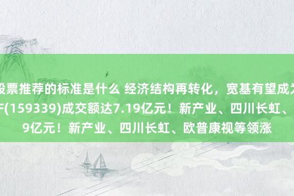 股票推荐的标准是什么 经济结构再转化，宽基有望成为开荒！A500ETF(159339)成交额达7.19亿元！新产业、四川长虹、欧普康视等领涨