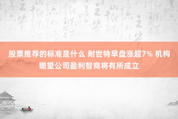 股票推荐的标准是什么 耐世特早盘涨超7% 机构瞻望公司盈利智商将有所成立