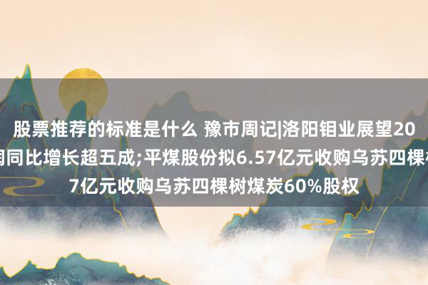 股票推荐的标准是什么 豫市周记|洛阳钼业展望2024年归母净利润同比增长超五成;平煤股份拟6.57亿元收购乌苏四棵树煤炭60%股权