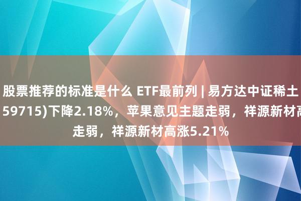 股票推荐的标准是什么 ETF最前列 | 易方达中证稀土产业ETF(159715)下降2.18%，苹果意见主题走弱，祥源新材高涨5.21%