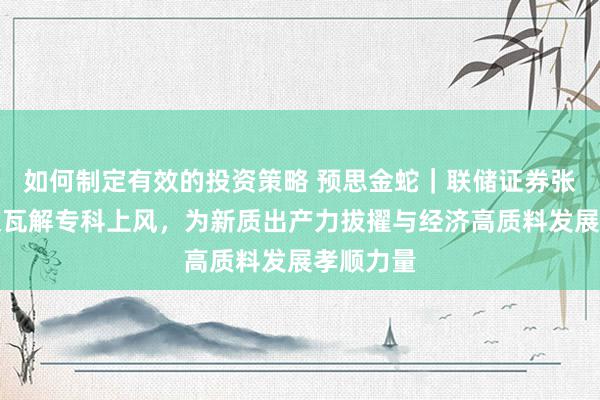 如何制定有效的投资策略 预思金蛇｜联储证券张强：积极瓦解专科上风，为新质出产力拔擢与经济高质料发展孝顺力量