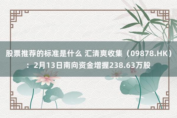 股票推荐的标准是什么 汇清爽收集（09878.HK）：2月13日南向资金增握238.63万股