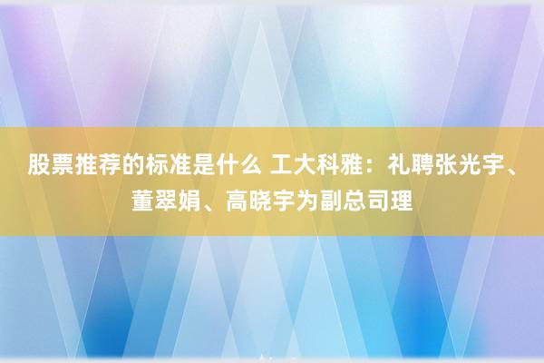 股票推荐的标准是什么 工大科雅：礼聘张光宇、董翠娟、高晓宇为副总司理