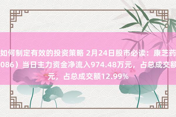 如何制定有效的投资策略 2月24日股市必读：康芝药业（300086）当日主力资金净流入974.48万元，占总成交额12.99%