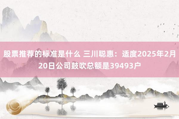 股票推荐的标准是什么 三川聪惠：适度2025年2月20日公司鼓吹总额是39493户