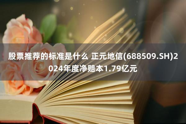 股票推荐的标准是什么 正元地信(688509.SH)2024年度净赔本1.79亿元