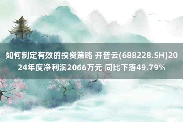 如何制定有效的投资策略 开普云(688228.SH)2024年度净利润2066万元 同比下落49.79%