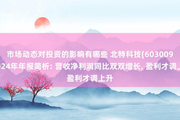 市场动态对投资的影响有哪些 北特科技(603009)2024年年报简析: 营收净利润同比双双增长, 盈利才调上升