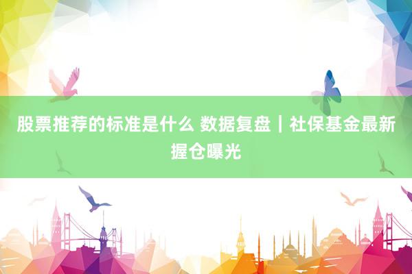 股票推荐的标准是什么 数据复盘｜社保基金最新握仓曝光