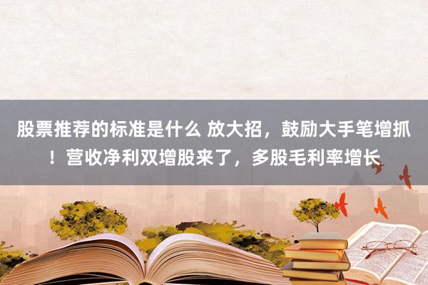 股票推荐的标准是什么 放大招，鼓励大手笔增抓！营收净利双增股来了，多股毛利率增长