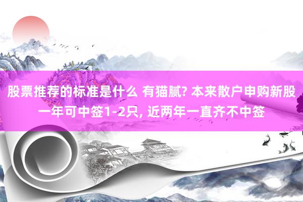 股票推荐的标准是什么 有猫腻? 本来散户申购新股一年可中签1-2只, 近两年一直齐不中签